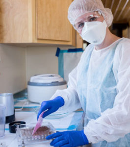 placenta encapsulation safety