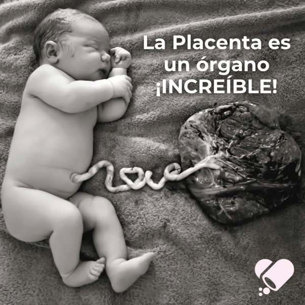 HECHO POR MAMÁ – Amor Encapsulado